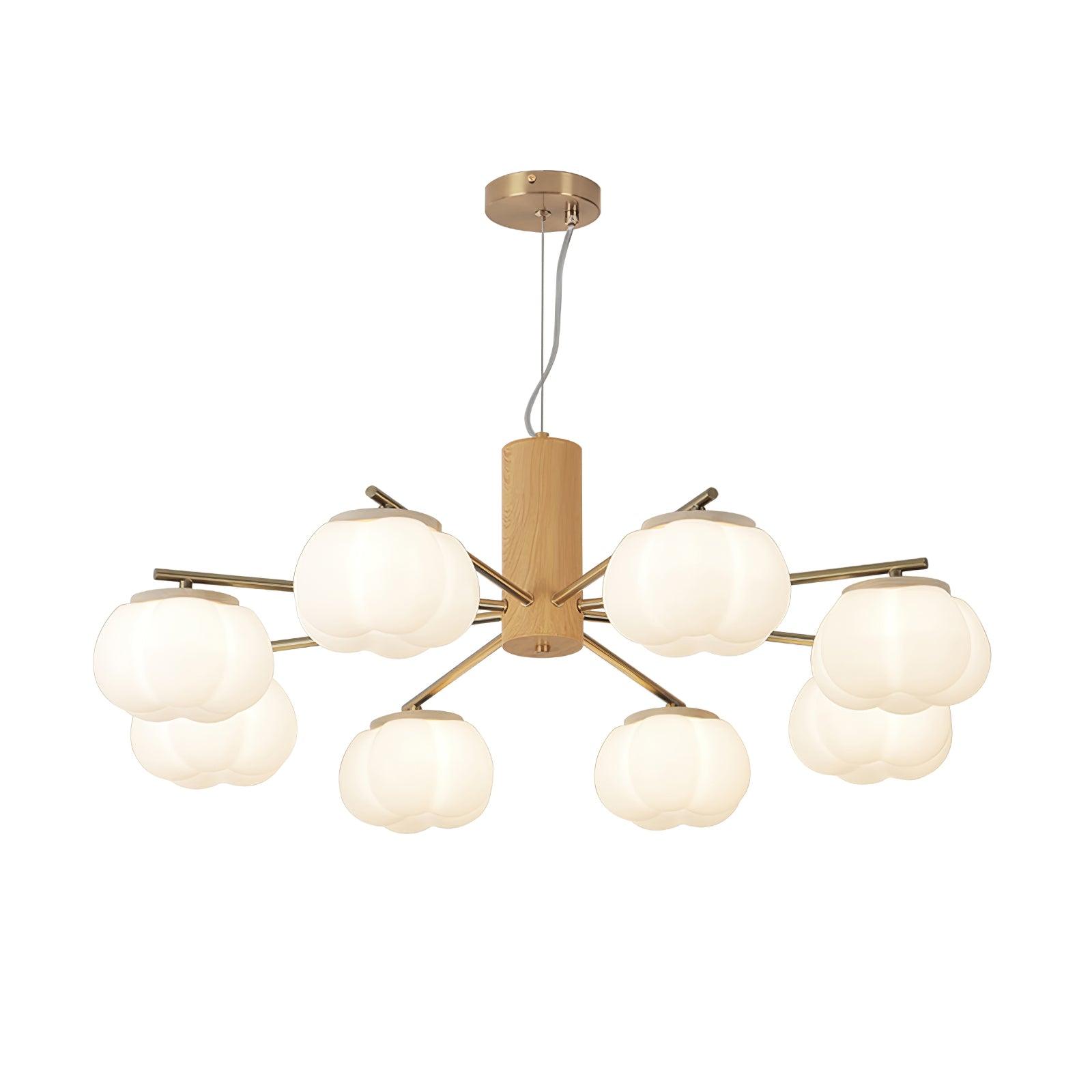 Ciruine Vintage Chandelier