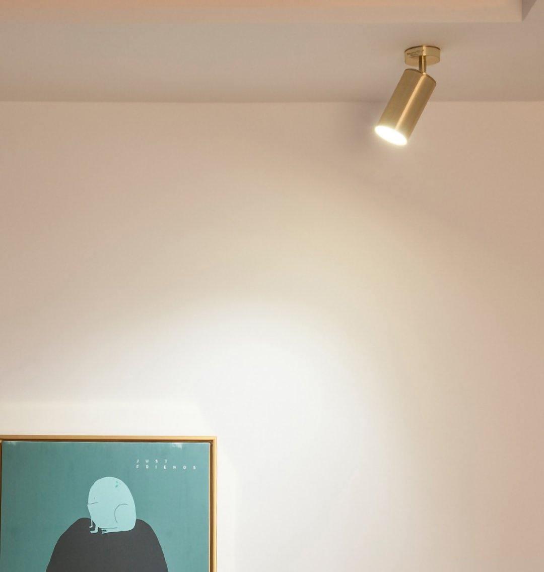 Grover Rotatable Brass Spotlight Wall Light