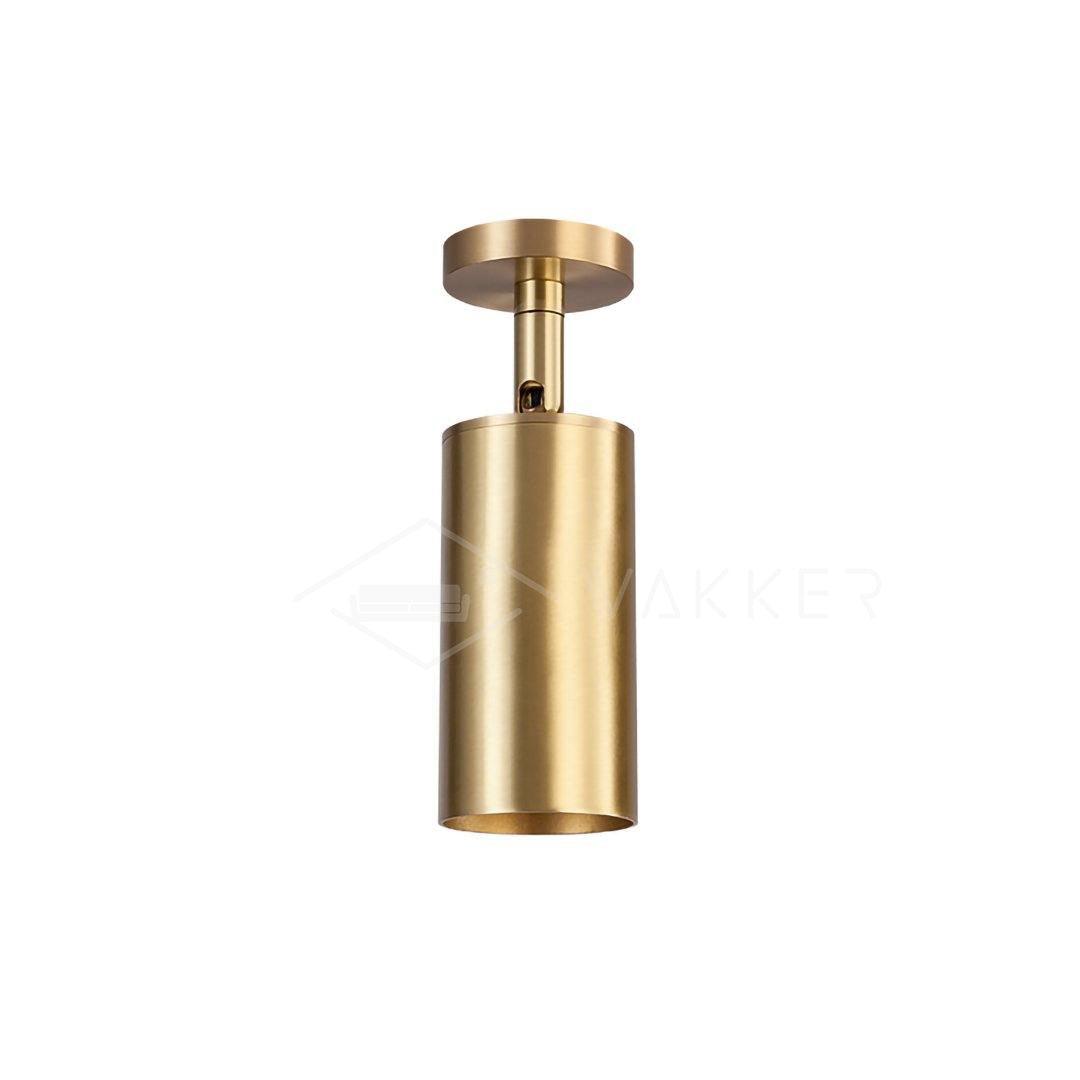 Ezveno Modern Minimalist Brass Ceiling Lamp
