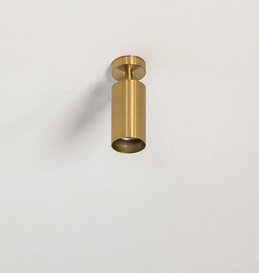 Ezveno Modern Minimalist Brass Ceiling Lamp