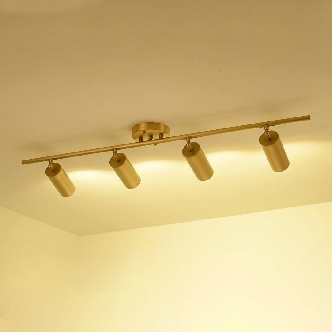 Ezveno Modern Minimalist Brass Ceiling Lamp