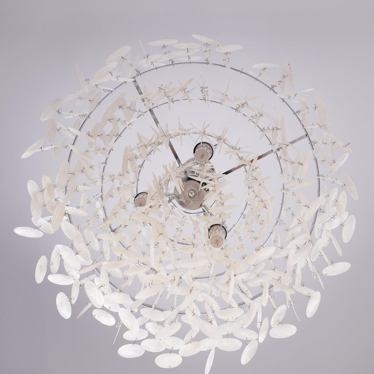 Rivena Pendant Lamp Round Shell Ring