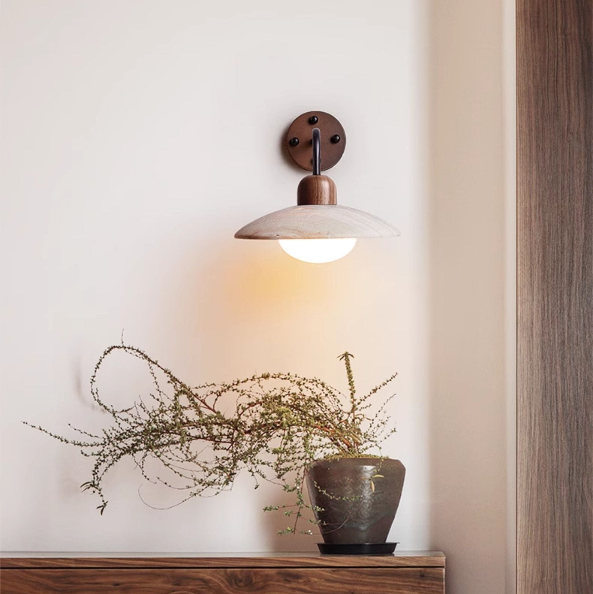 Lumicrest Dome Arm Indoor Wall Light