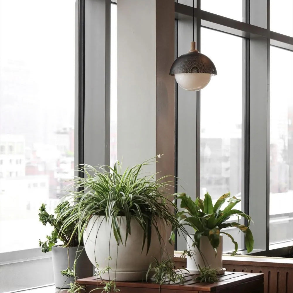 Pith Modern Minimalist Dome Perforated Wooden Pendant Lamp - Neutral Decor