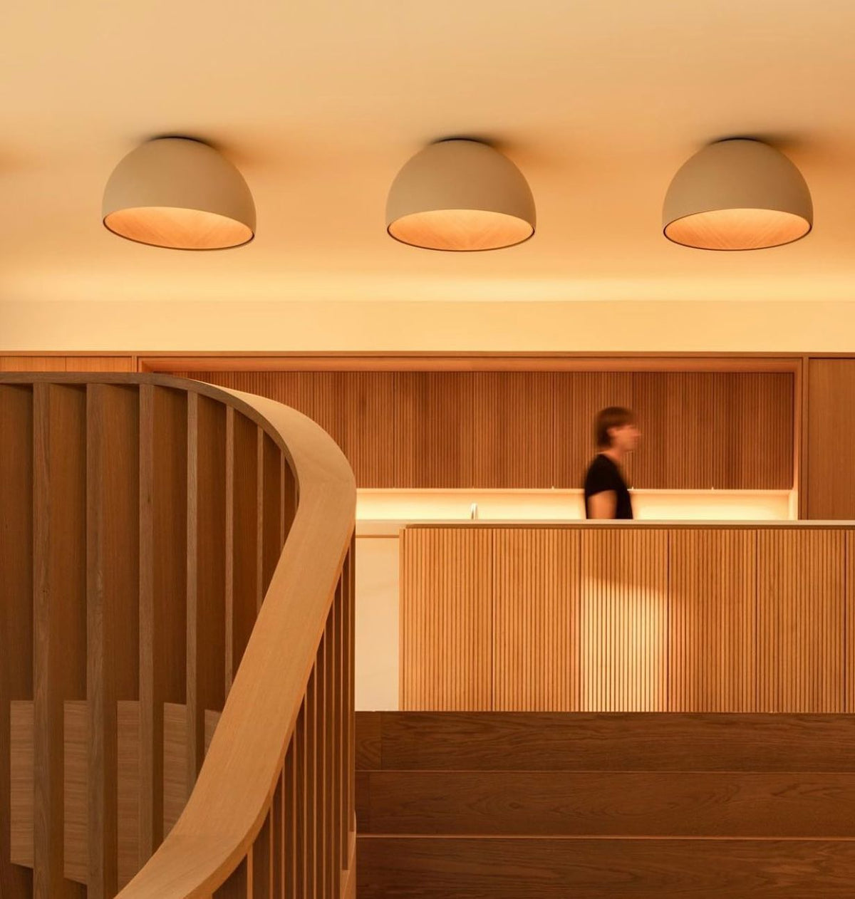 Coda Ceiling Lamp Dome Wood Minimalist