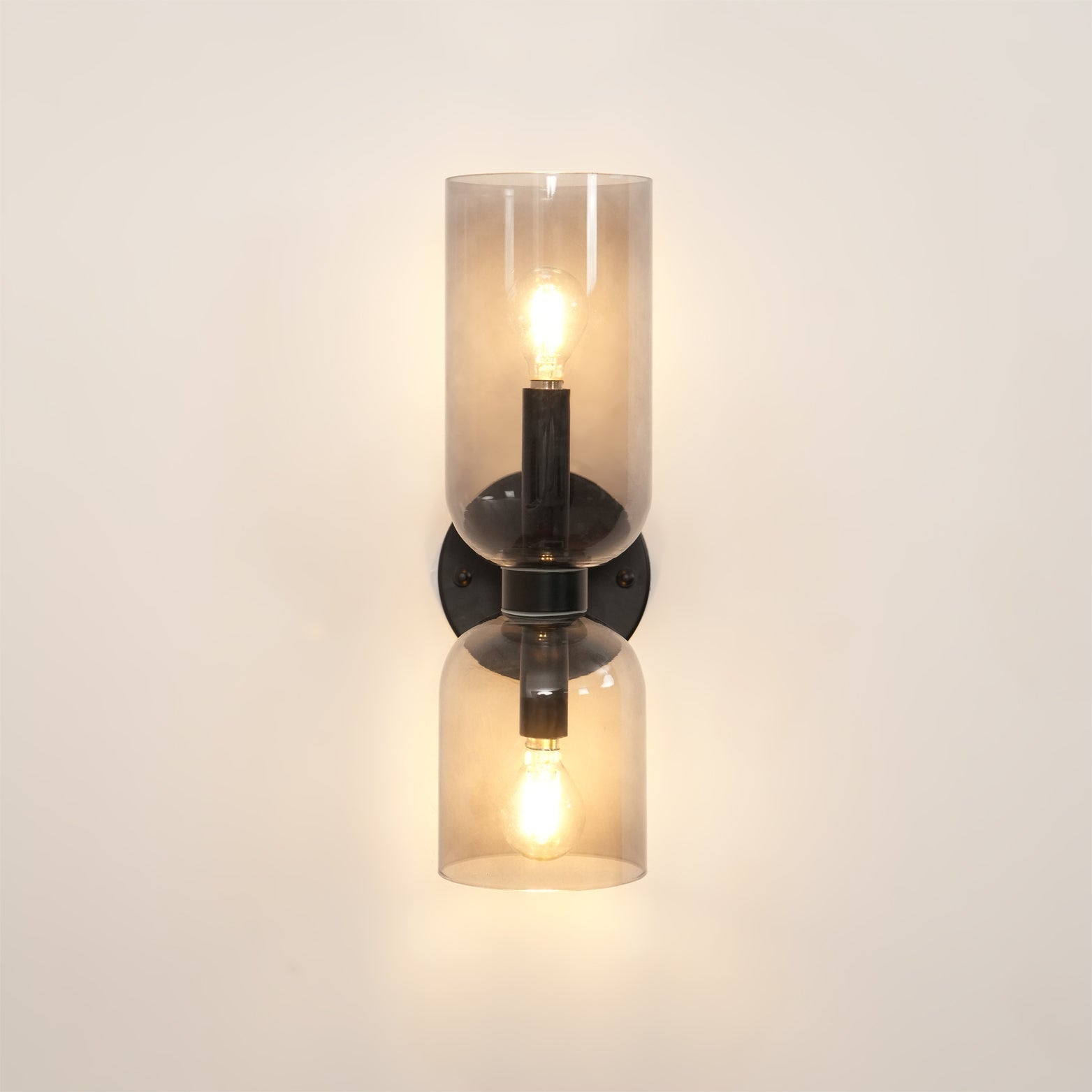 Zildes Nordic Art Plug-In Glass Wall Lamp