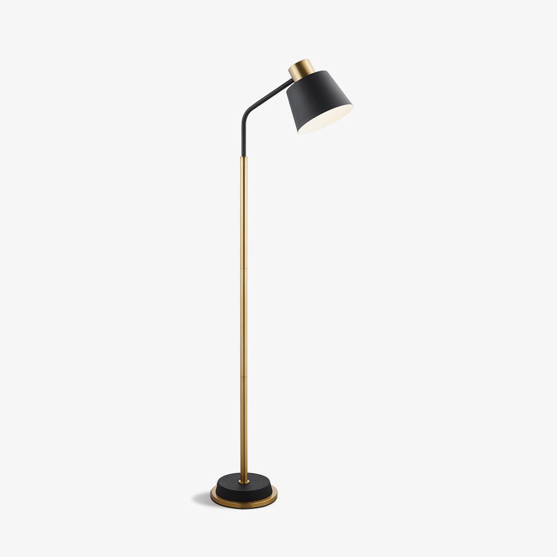 Xildas Black & Gold Minimalistic Floor Lamp