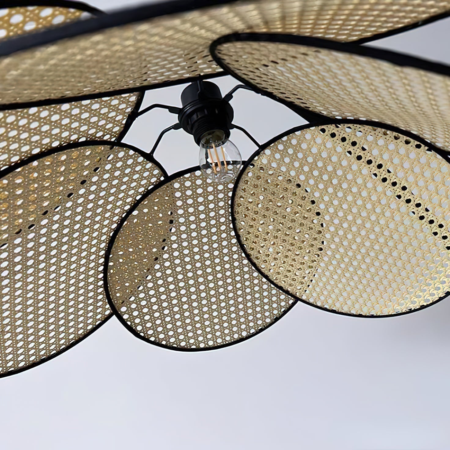Ciroriel Chandelier