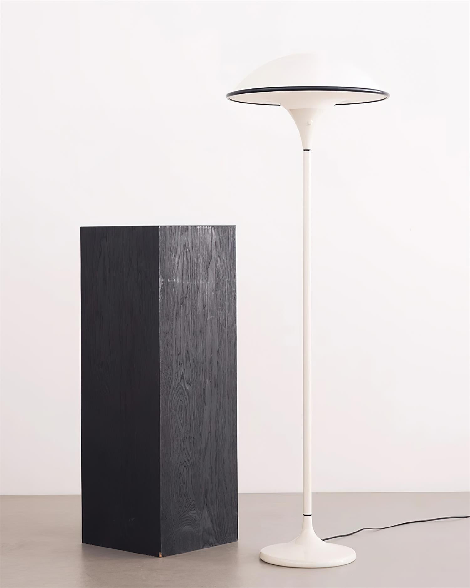 Lucoria Retro Acrylic Floor Lamp