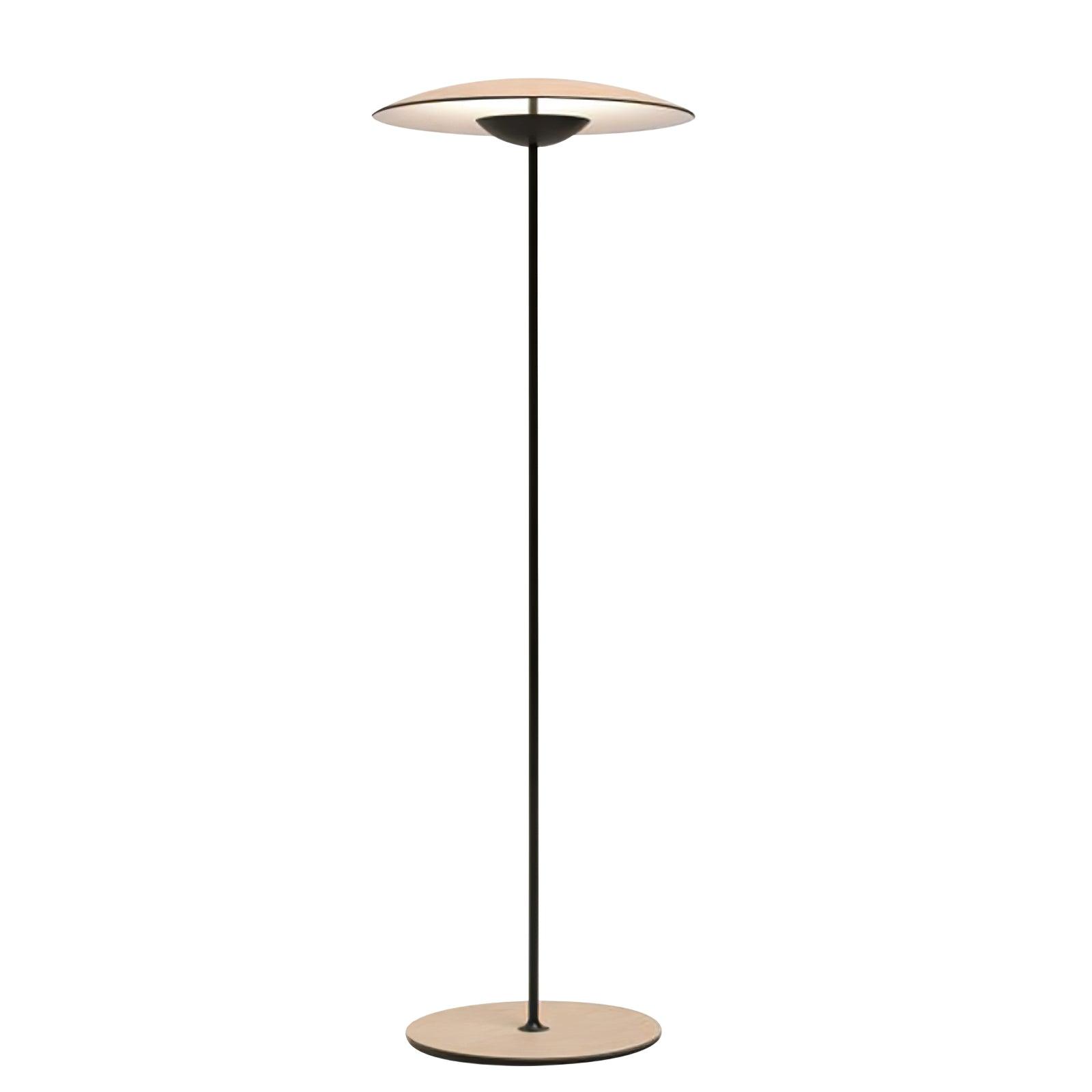 Ferinira Aluminum Minimalist Floor Lamp
