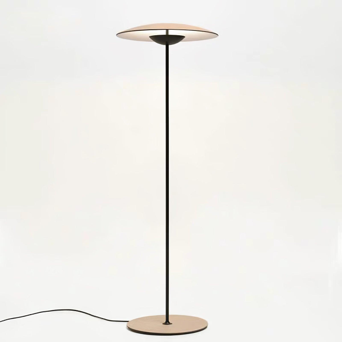 Ferinira Aluminum Minimalist Floor Lamp