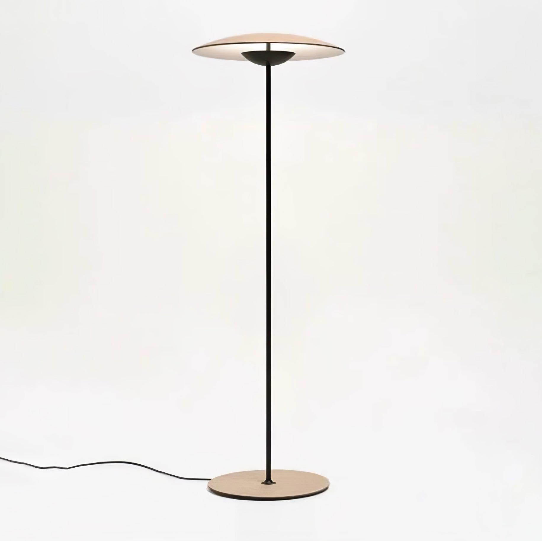 Ferinira Aluminum Minimalist Floor Lamp