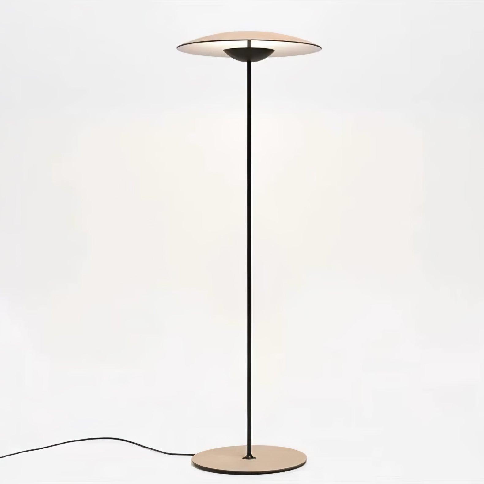 Ferinira Aluminum Minimalist Floor Lamp