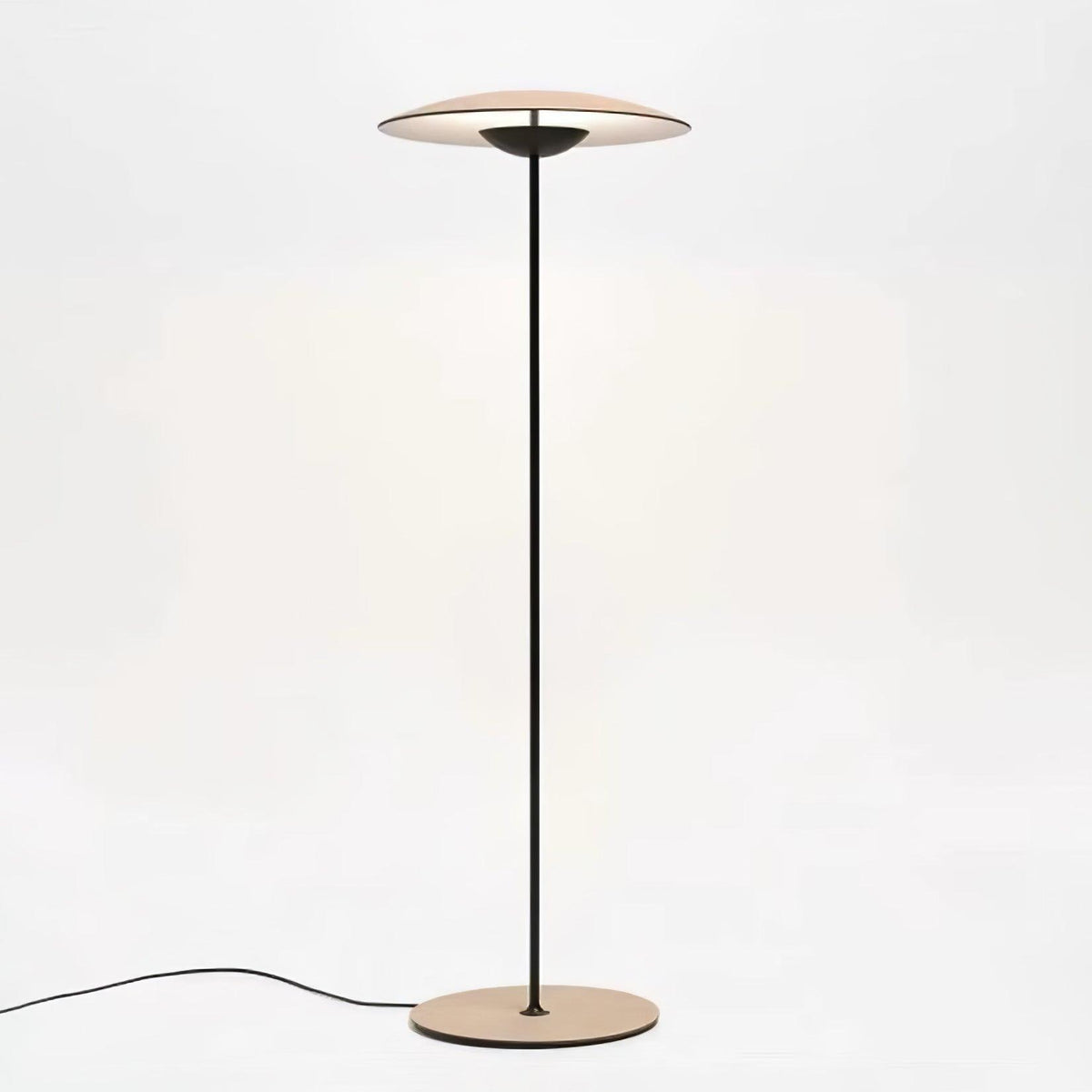 Ferinira Aluminum Minimalist Floor Lamp