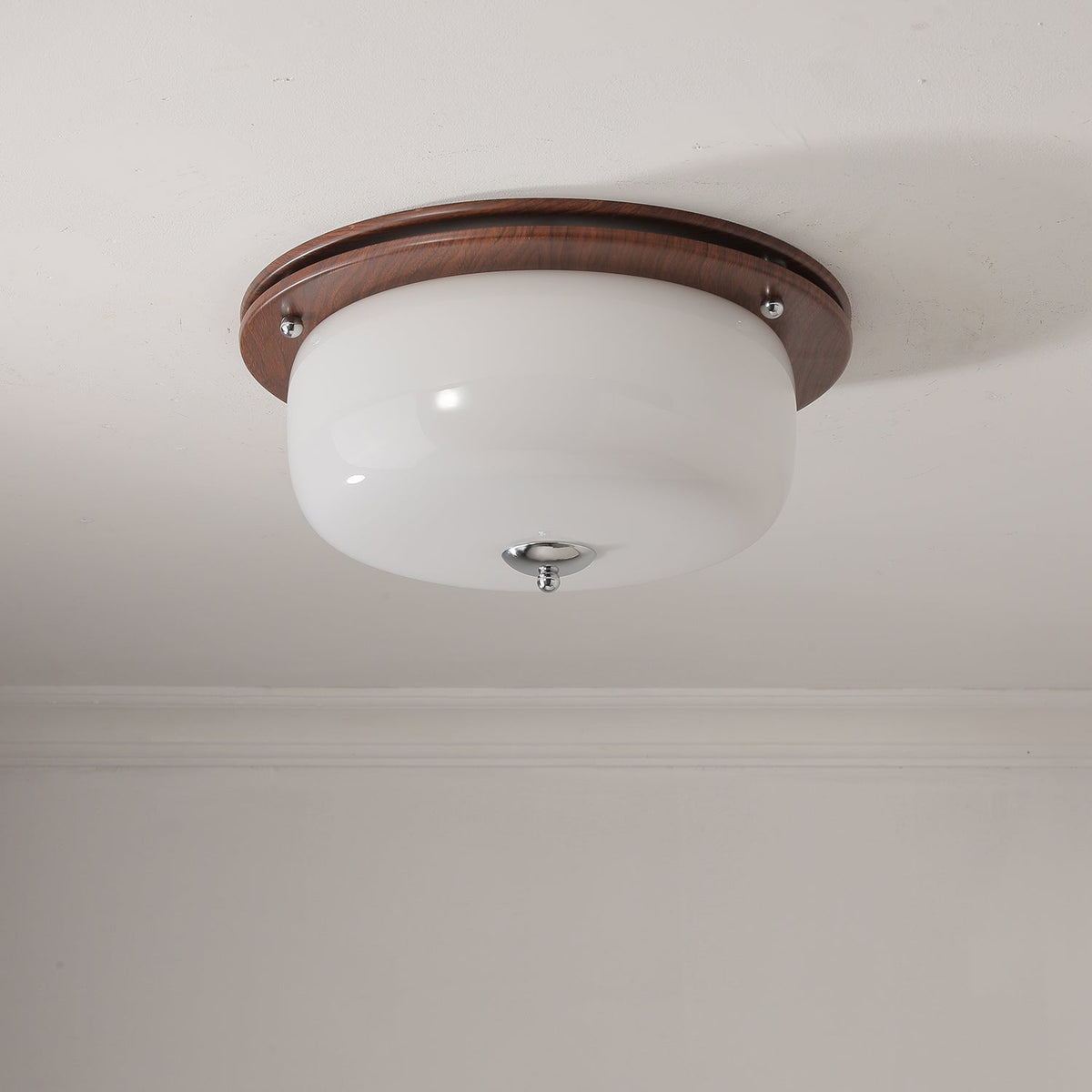 Vetheel Premium Nordic Art Dome Glass Ceiling Light