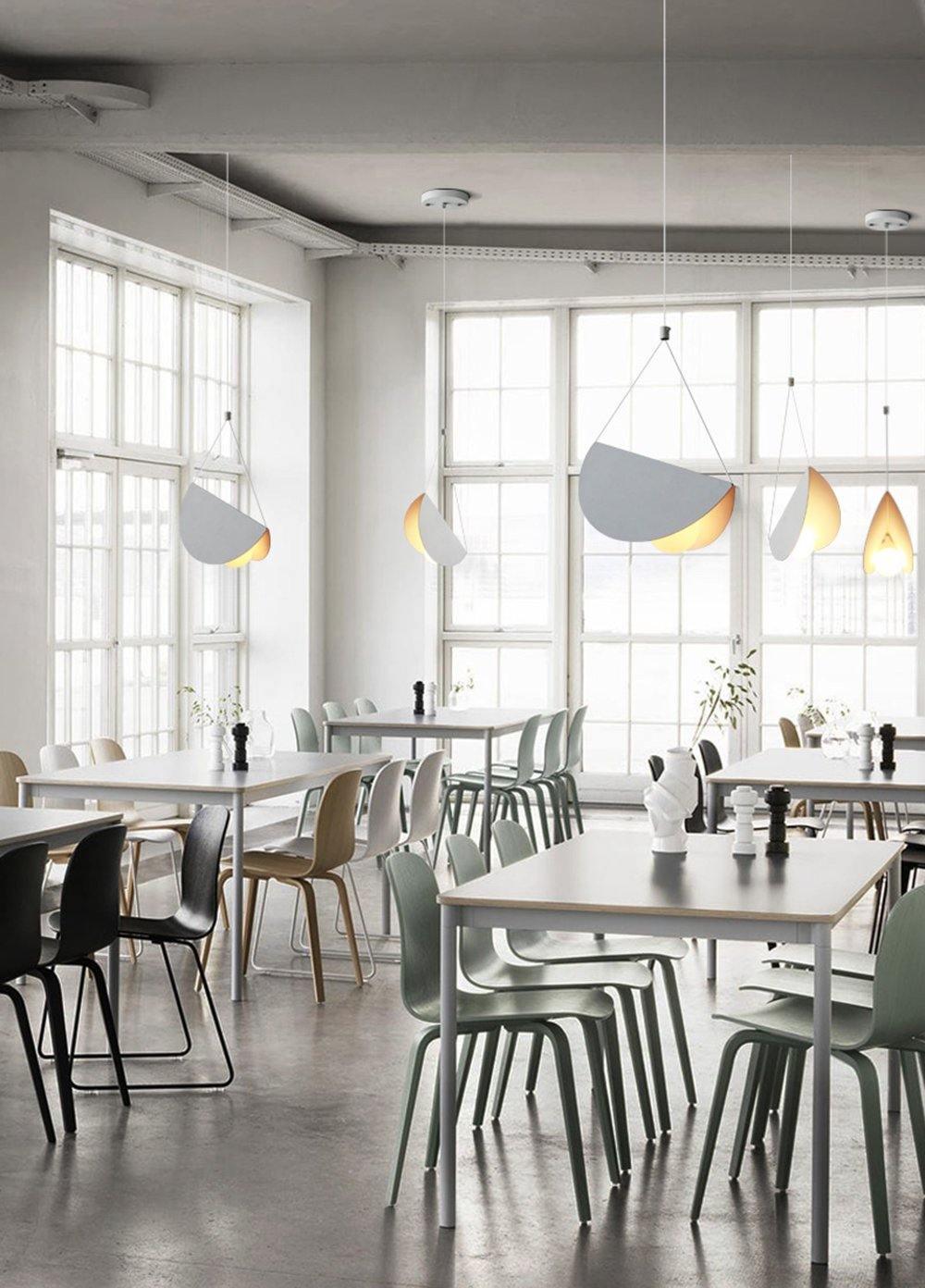 Halten Premium Art Glider Pendant Light
