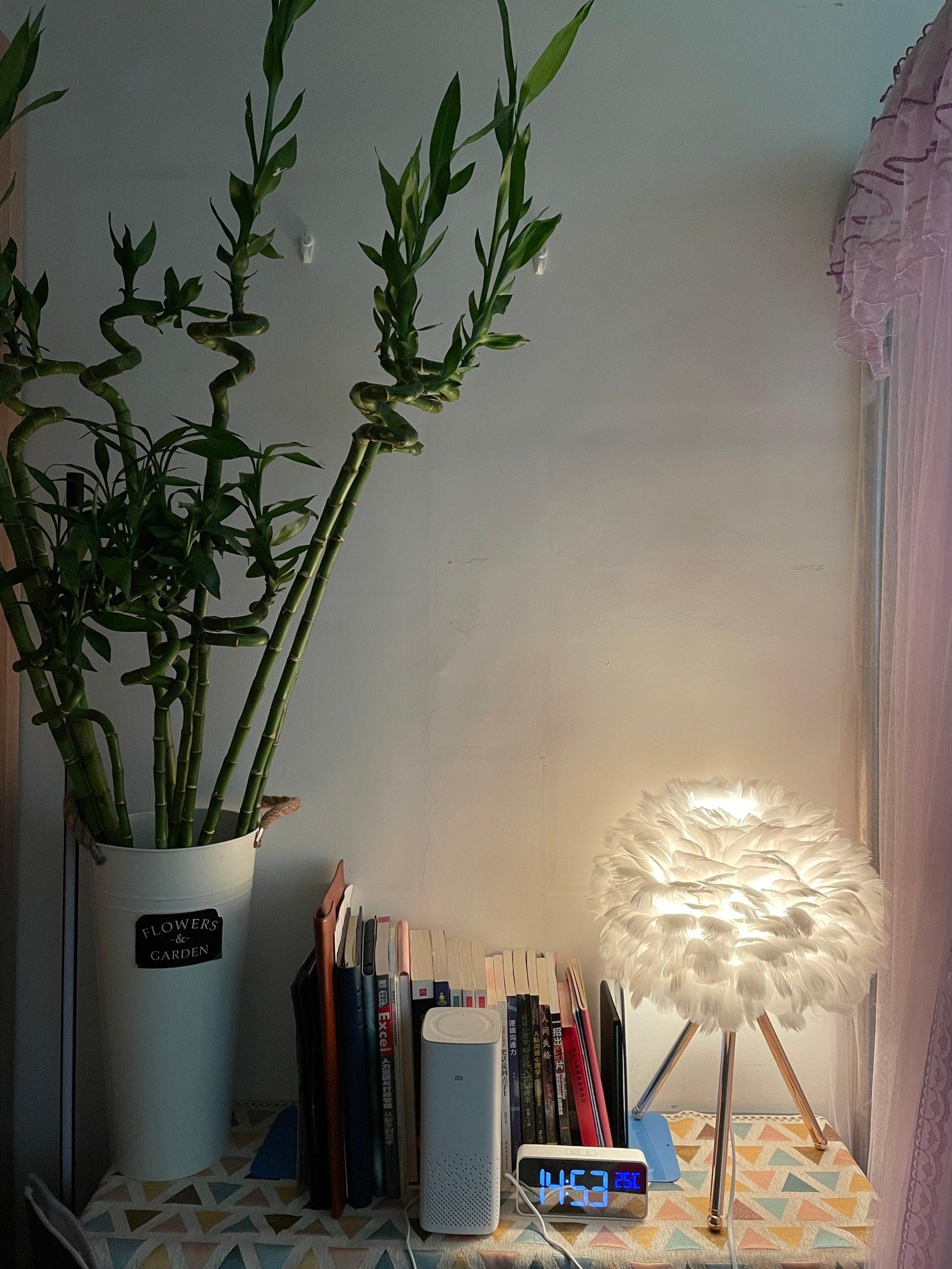Nilo Feather Feminine Table Lamp