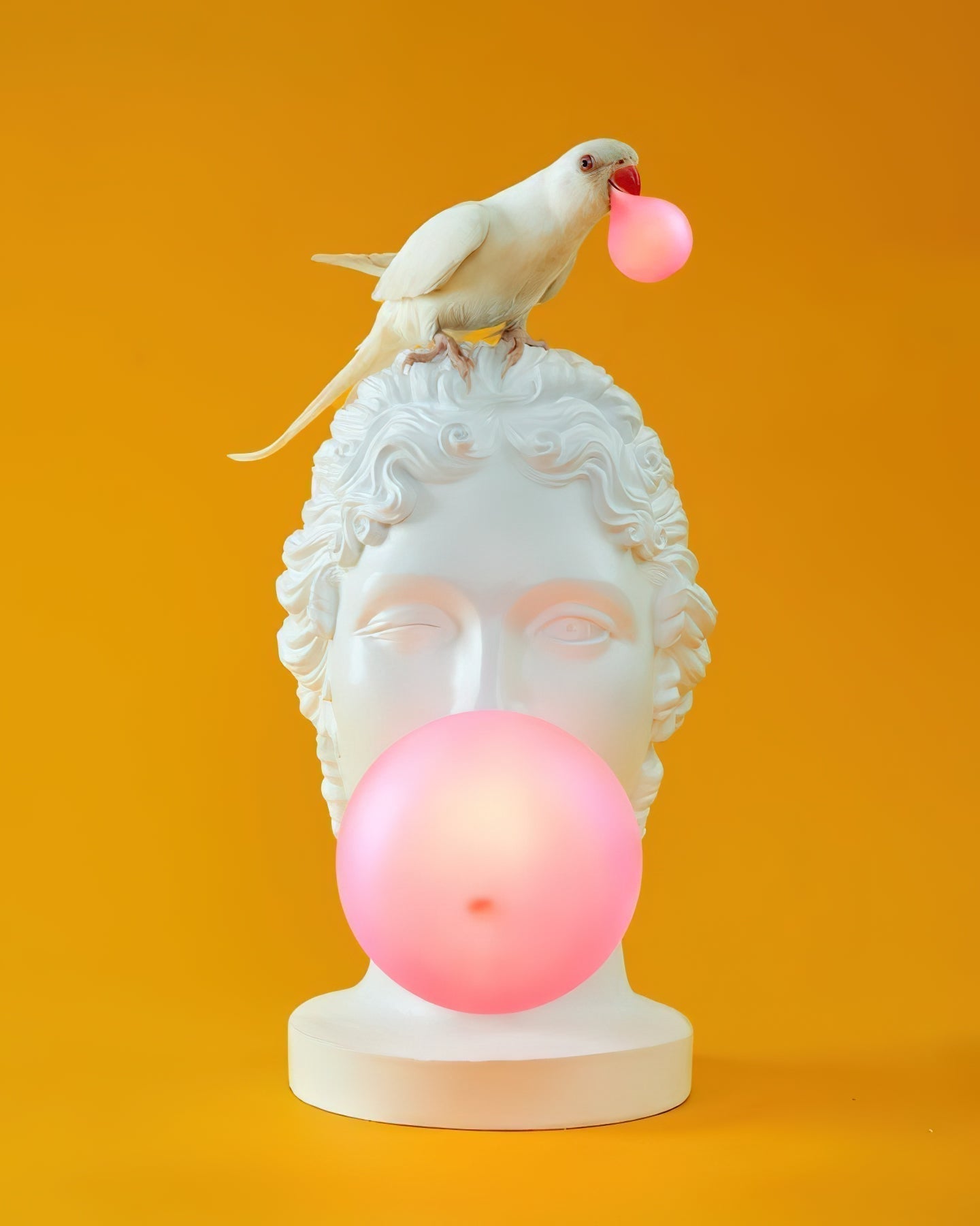 Aurrinel Sculptural Resin Desk Lamp