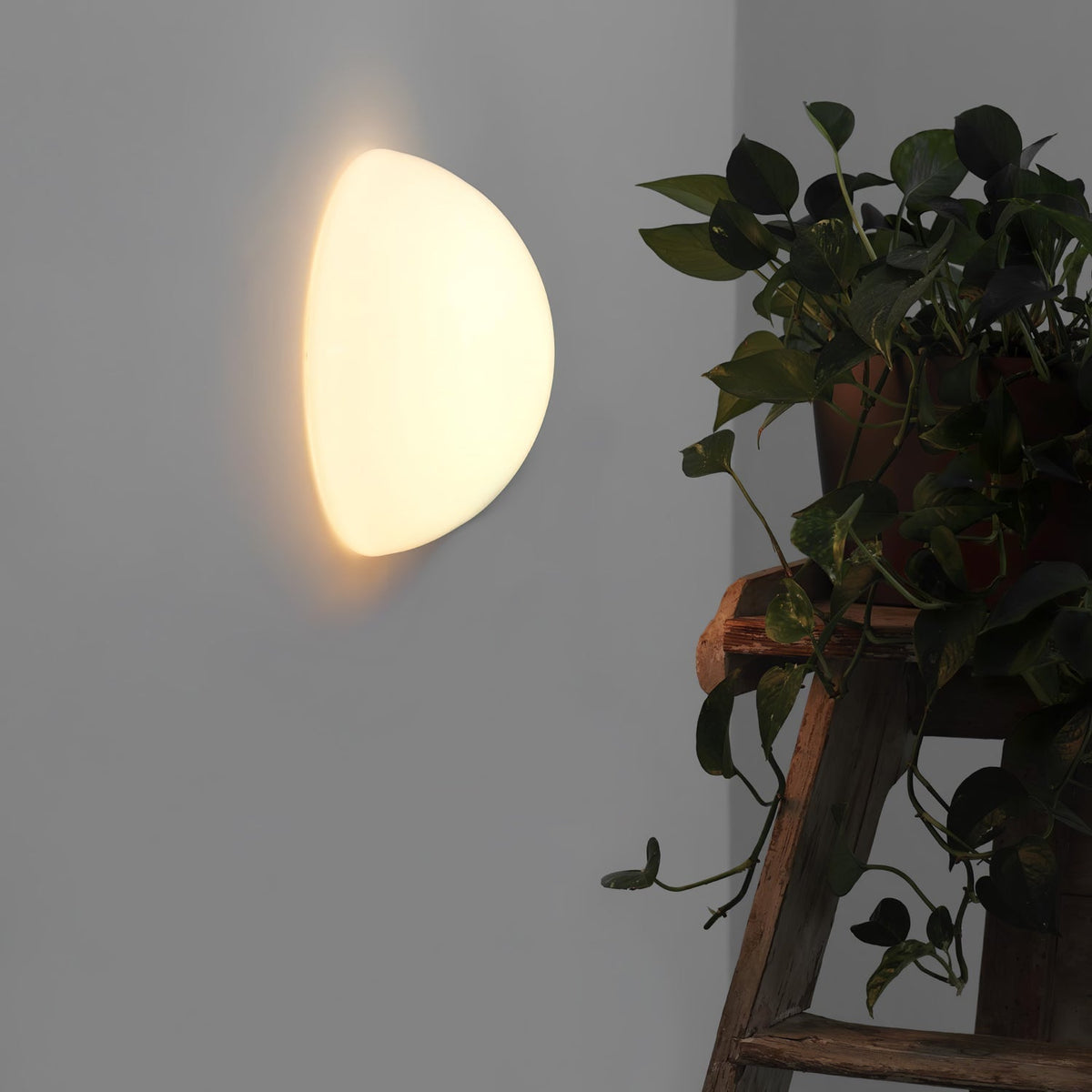 Vesilis Modern Minimalist Glass Wall Lamp