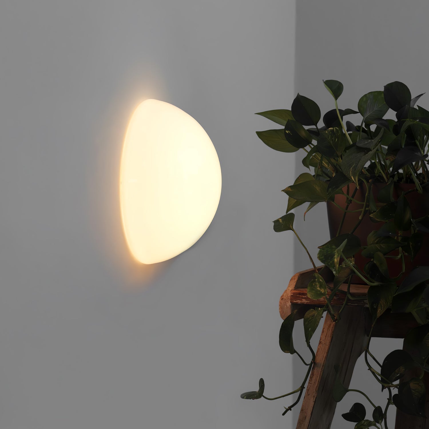 Vesilis Modern Minimalist Glass Wall Lamp
