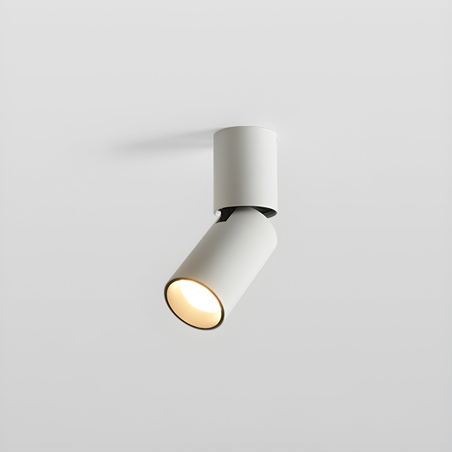 Elvynira Adjustable Surface Downlight Ceiling lamp