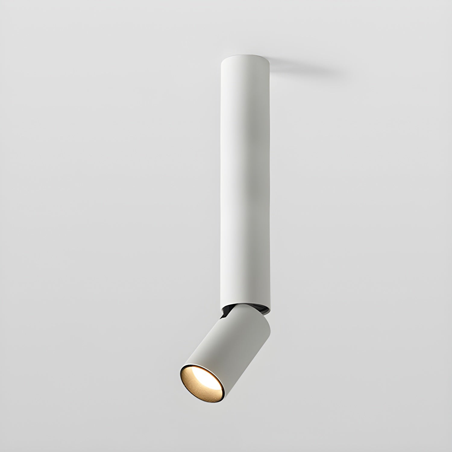 Elvynira Adjustable Surface Downlight Ceiling lamp