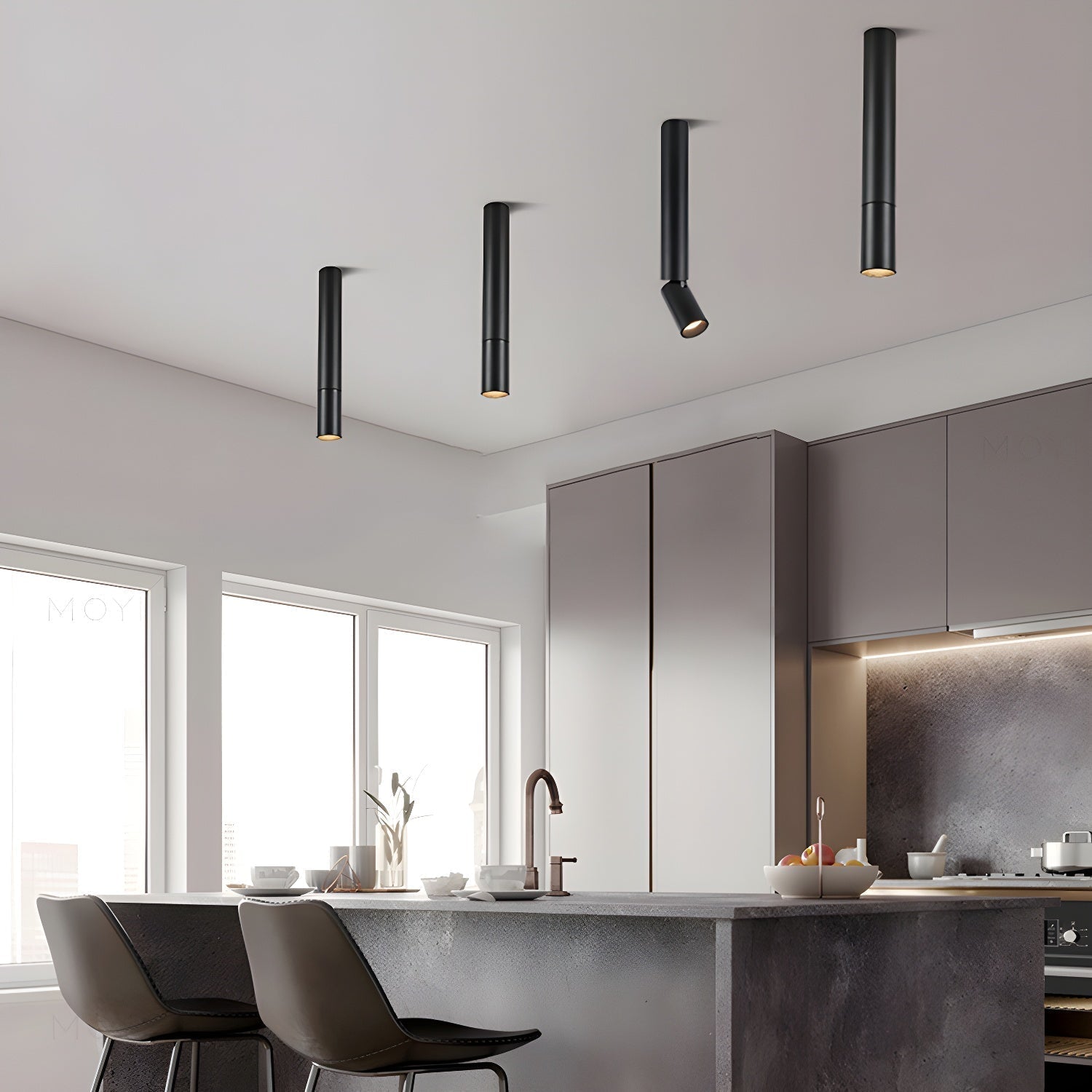 Elvynira Adjustable Surface Downlight Ceiling lamp