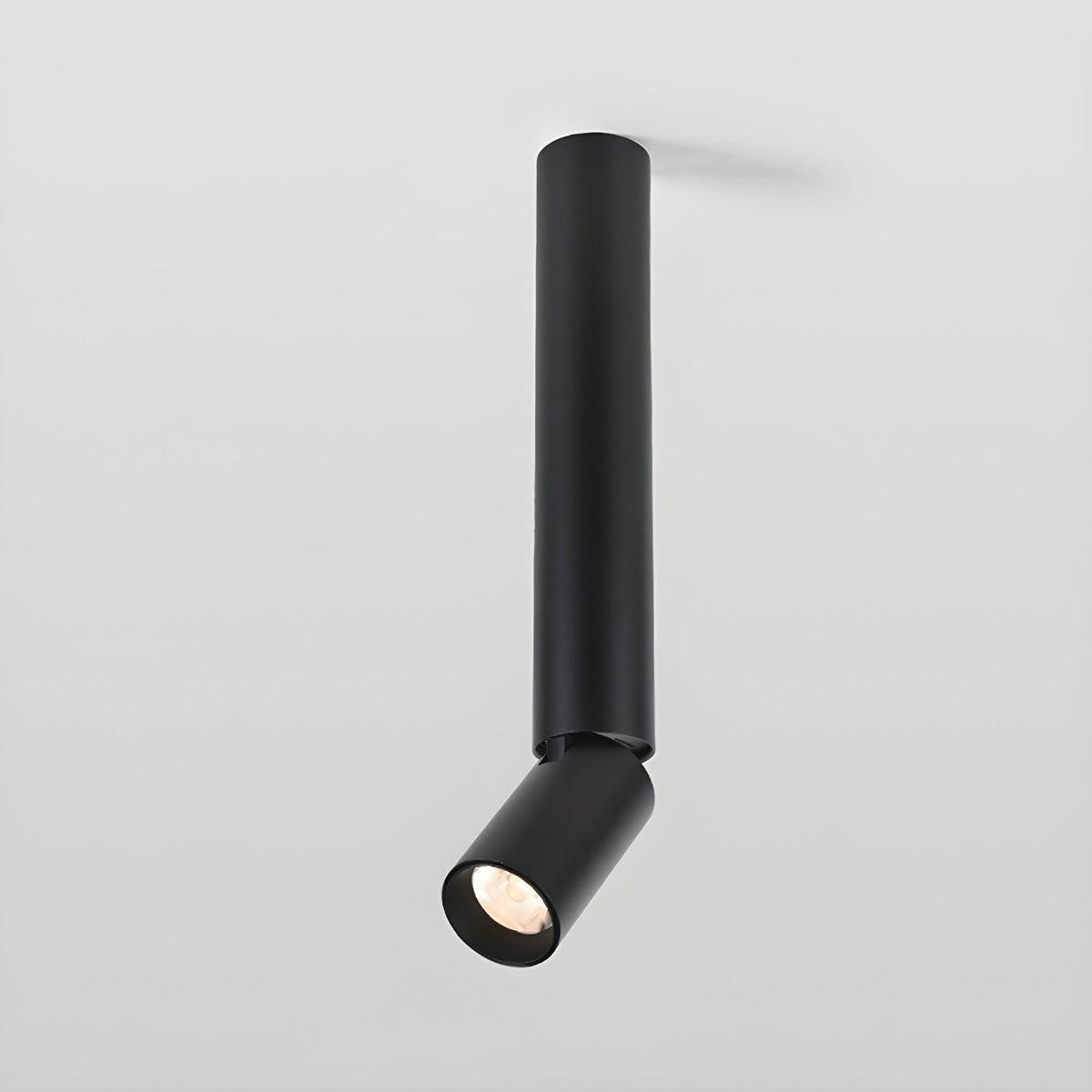 Elvynira Adjustable Surface Downlight Ceiling lamp