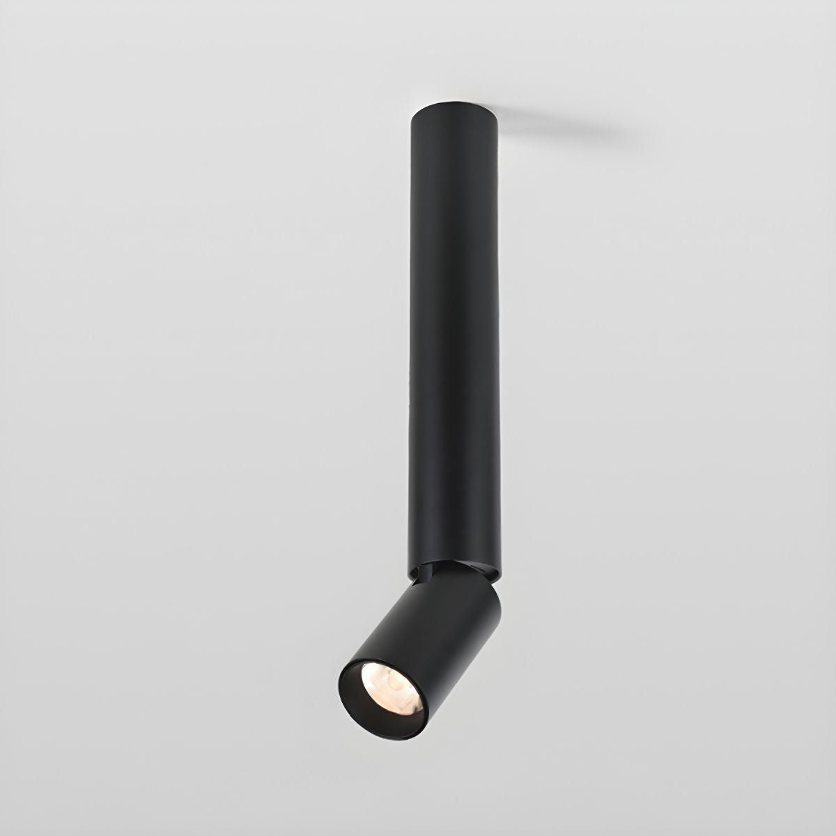 Elvynira Adjustable Surface Downlight Ceiling lamp