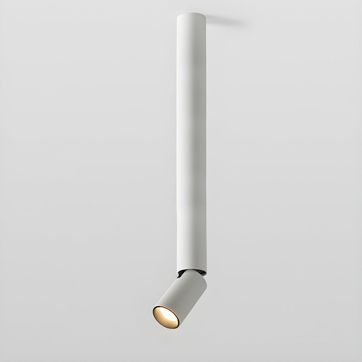 Elvynira Adjustable Surface Downlight Ceiling lamp