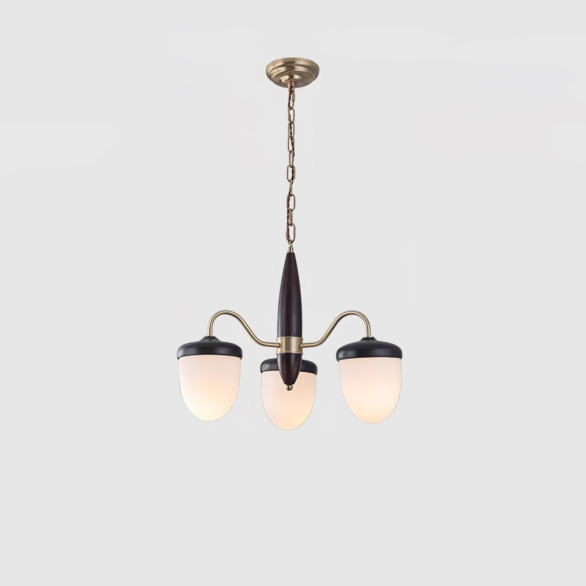 Calanora Chandelier Capsule Arm Rustic