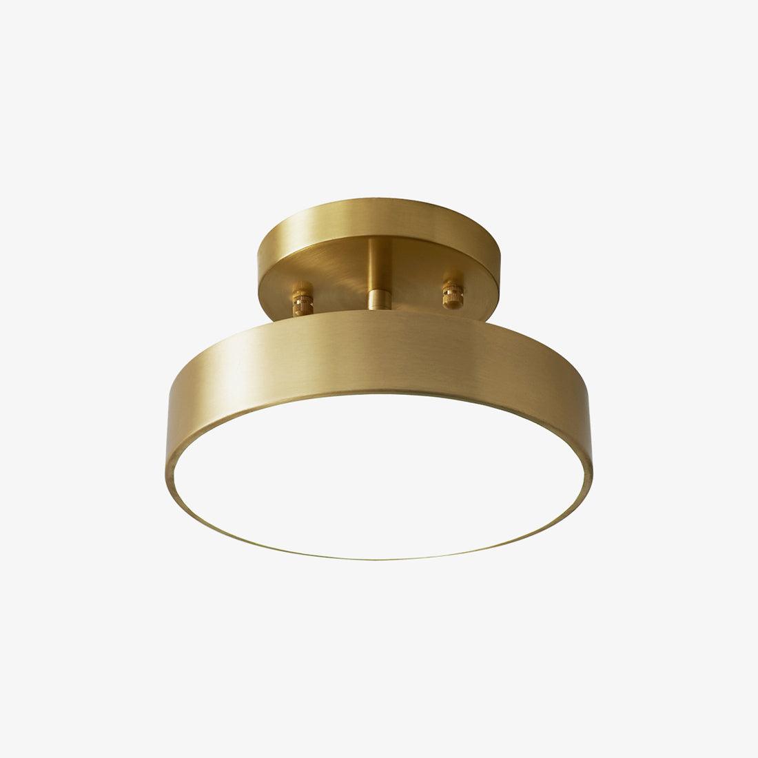 Eilora Modern Minimalist Rotating Ceiling Lamp