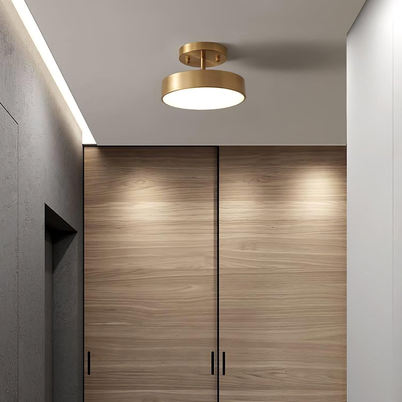 Eilora Modern Minimalist Rotating Ceiling Lamp