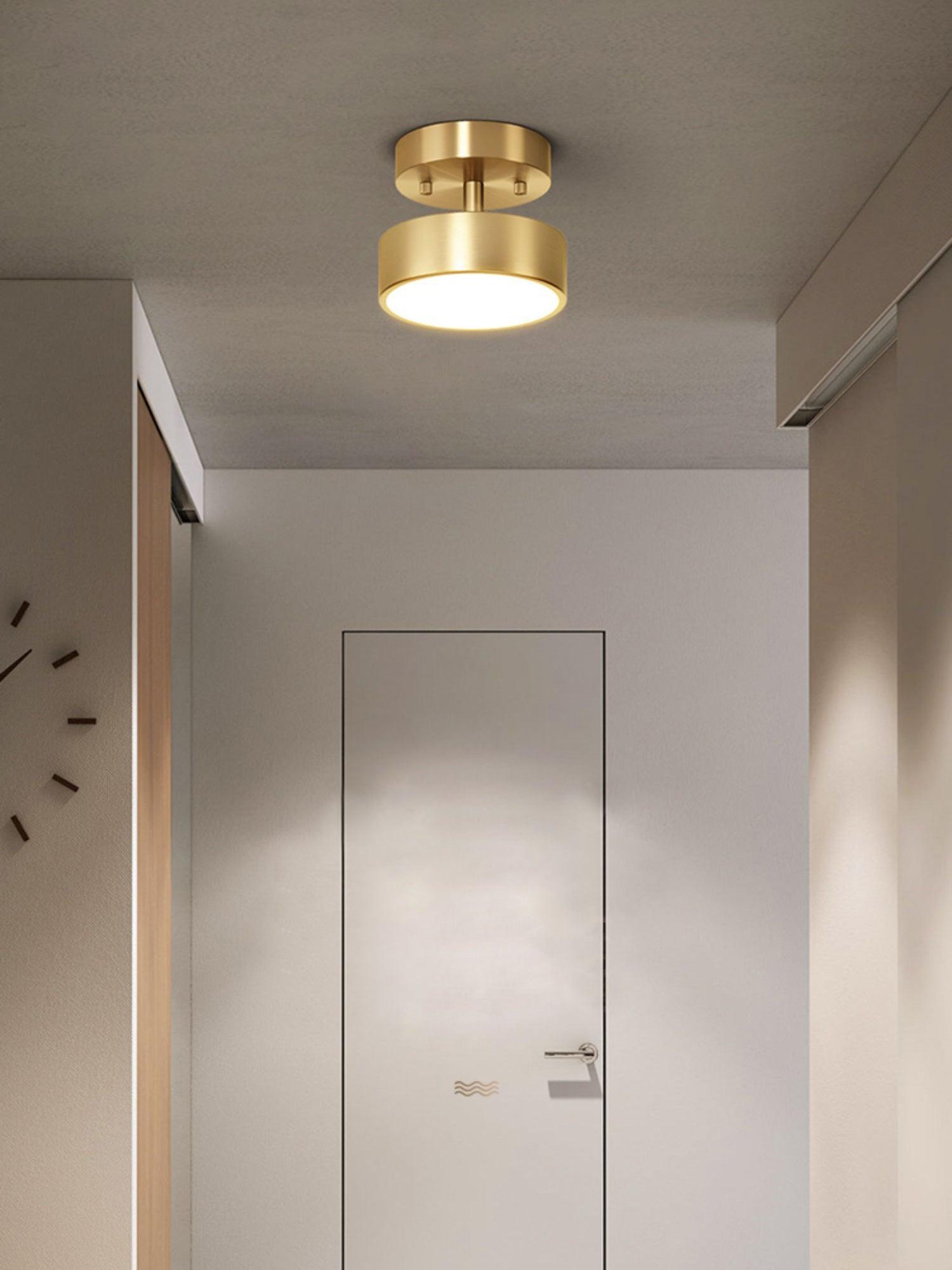 Eilora Modern Minimalist Rotating Ceiling Lamp