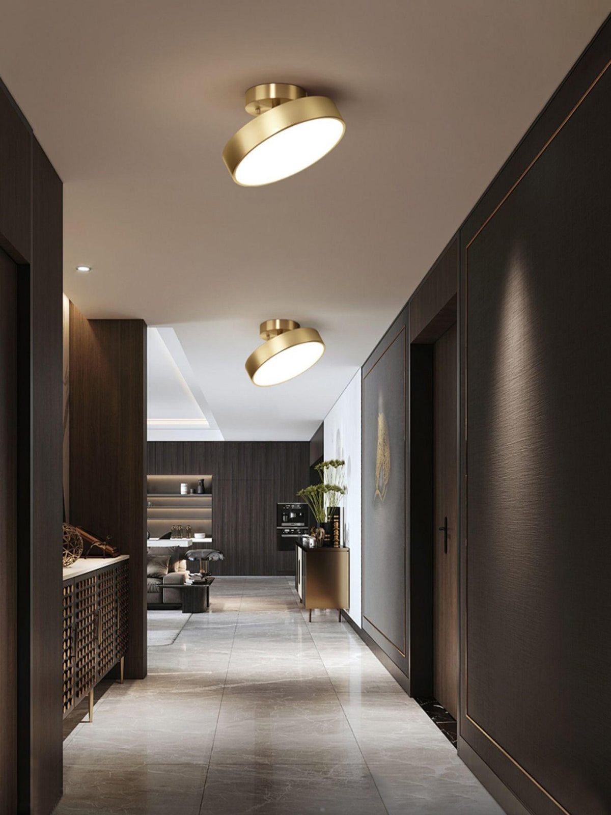 Eilora Modern Minimalist Rotating Ceiling Lamp