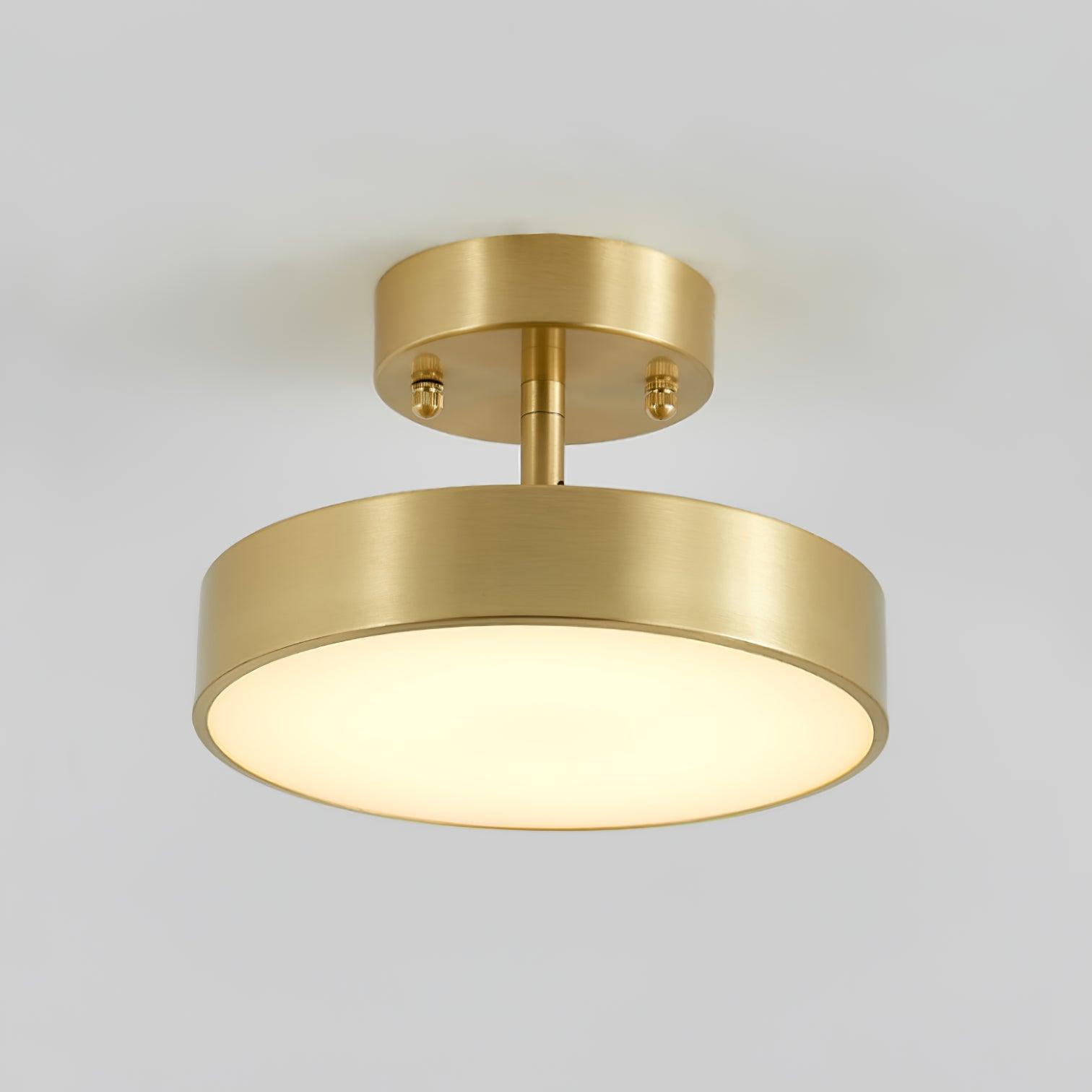 Eilora Modern Minimalist Rotating Ceiling Lamp