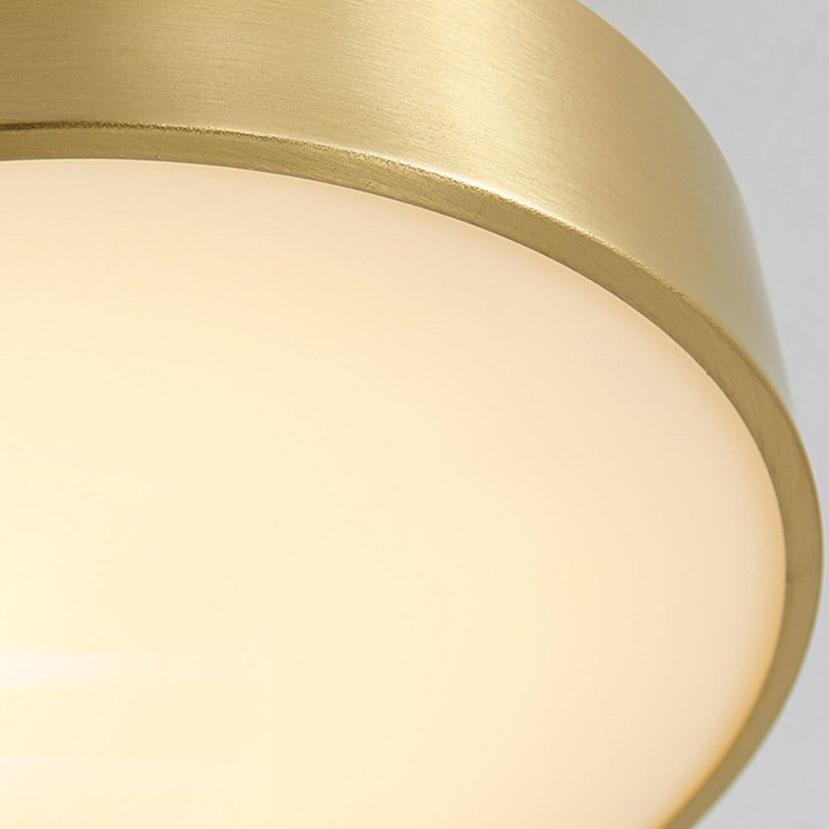 Eilora Modern Minimalist Rotating Ceiling Lamp