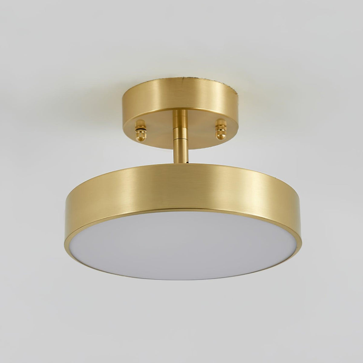 Eilora Modern Minimalist Rotating Ceiling Lamp
