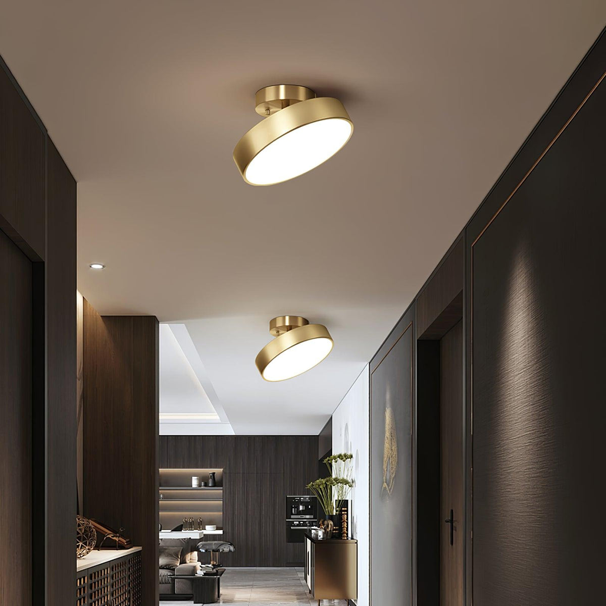 Eilora Modern Minimalist Rotating Ceiling Lamp
