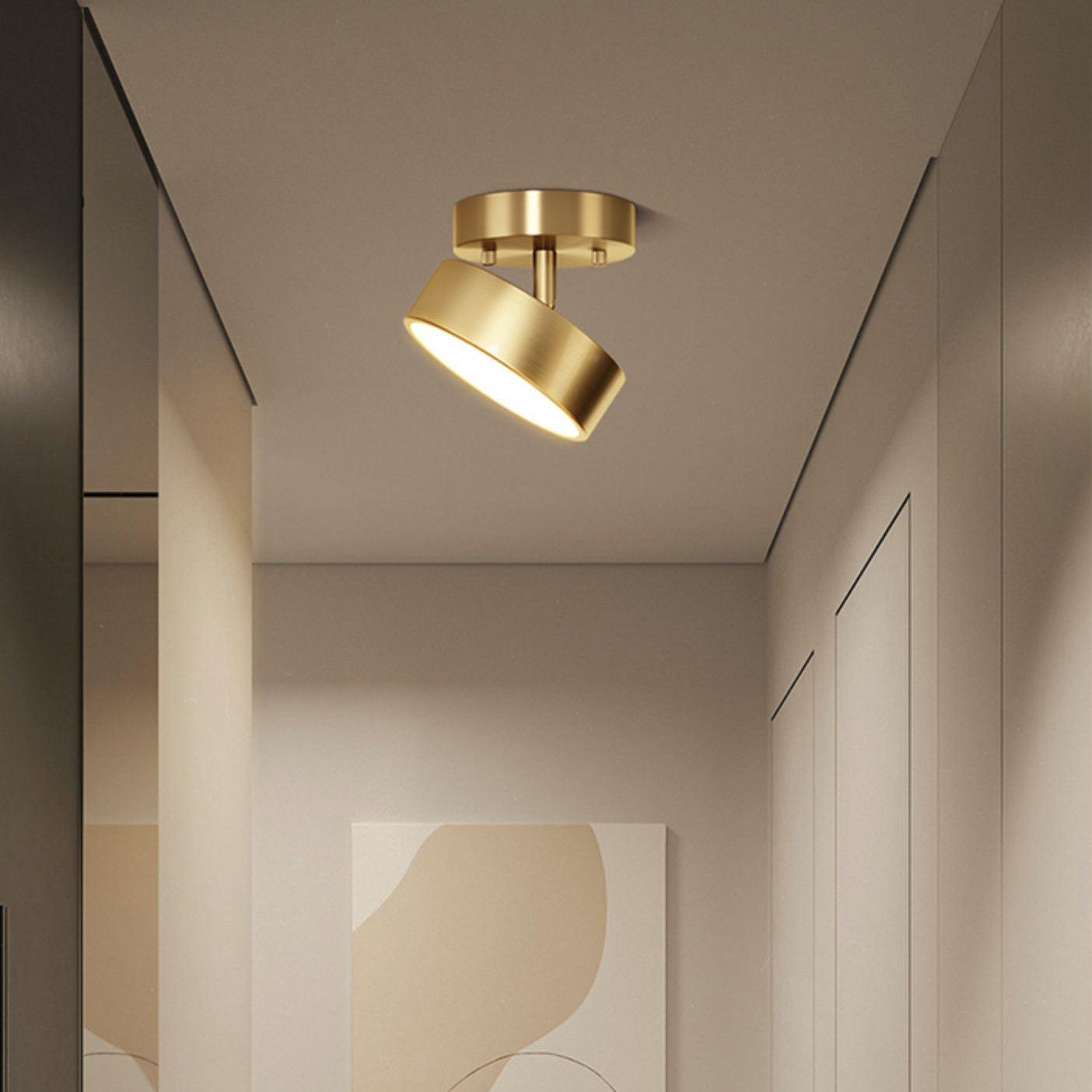 Eilora Modern Minimalist Rotating Ceiling Lamp
