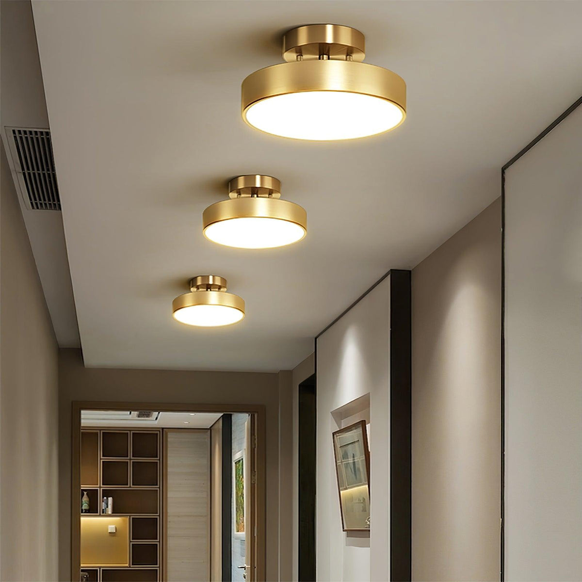 Eilora Modern Minimalist Rotating Ceiling Lamp