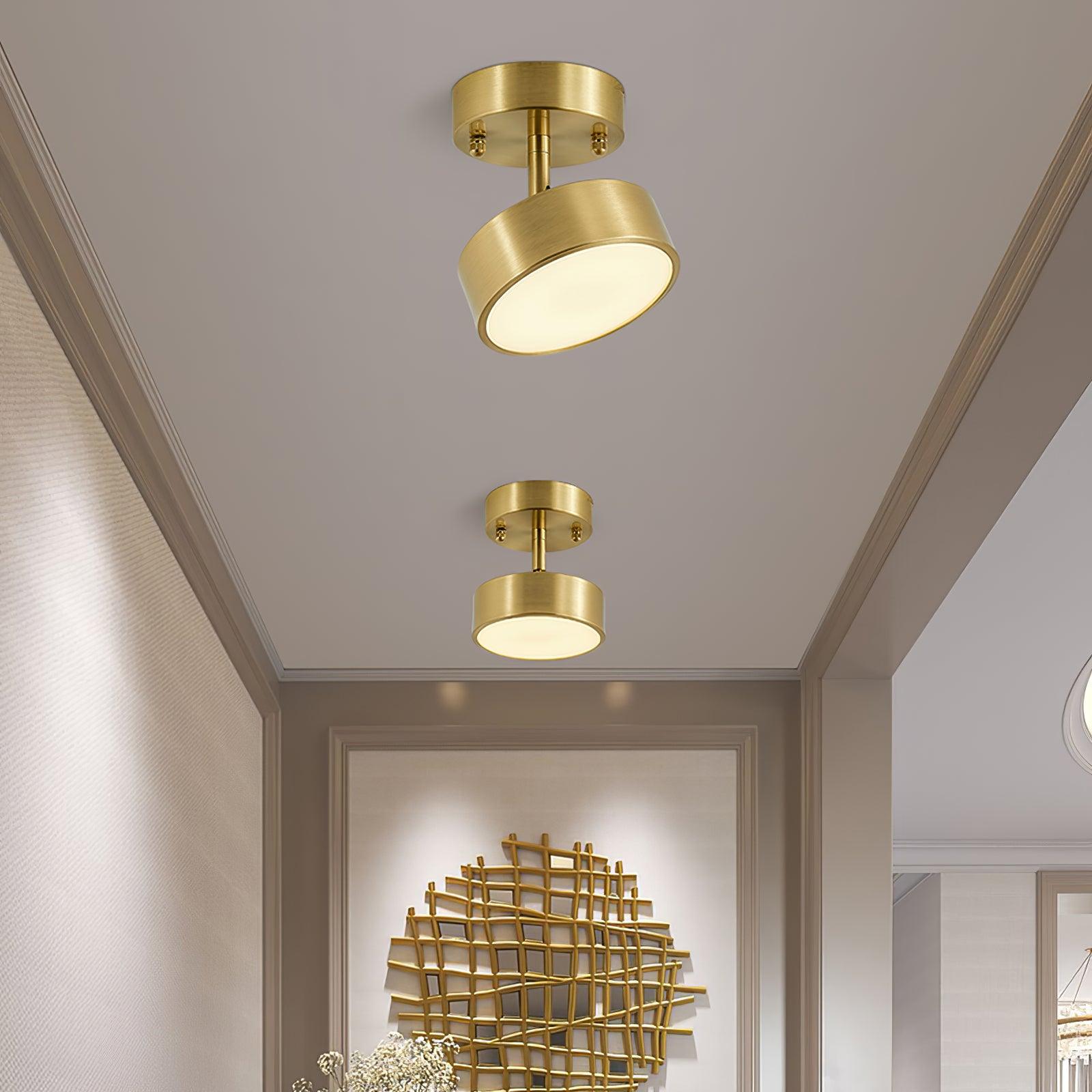 Eilora Modern Minimalist Rotating Ceiling Lamp