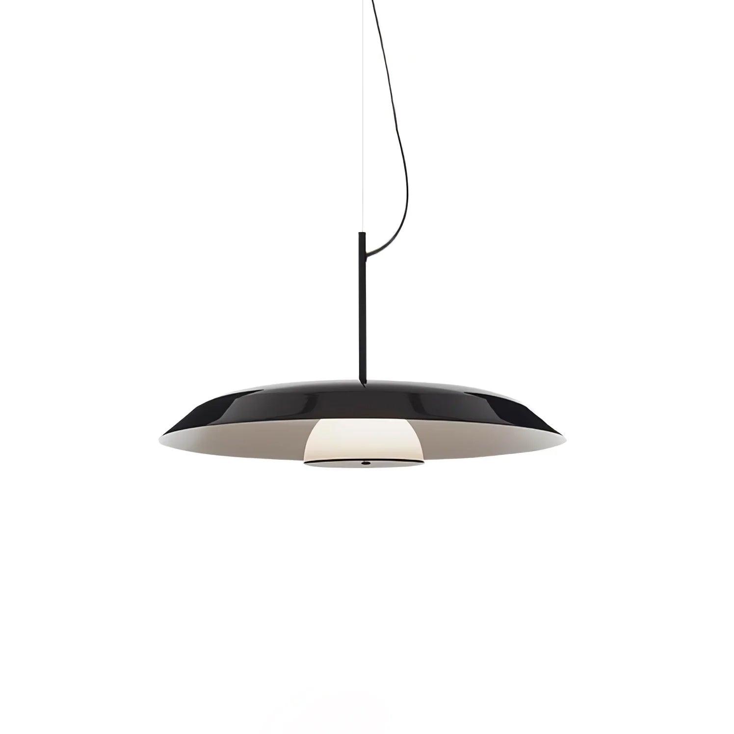 Calyx Acrylic Artistic Pendant Lamp