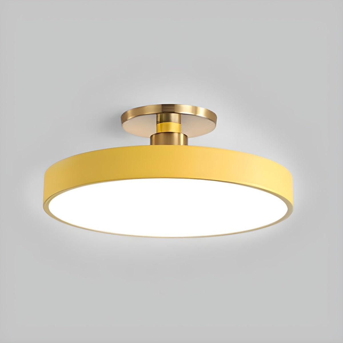 Nalia Ceiling Lamp Flush Mount Black and Gold Modern