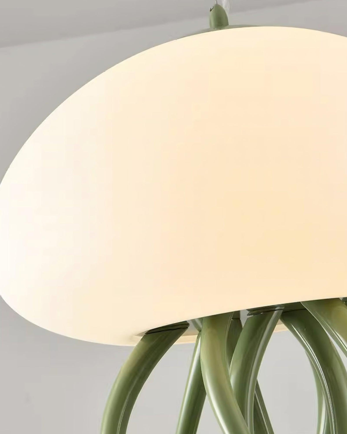 Niruiella Acrylic Cozy Pendant Lamp