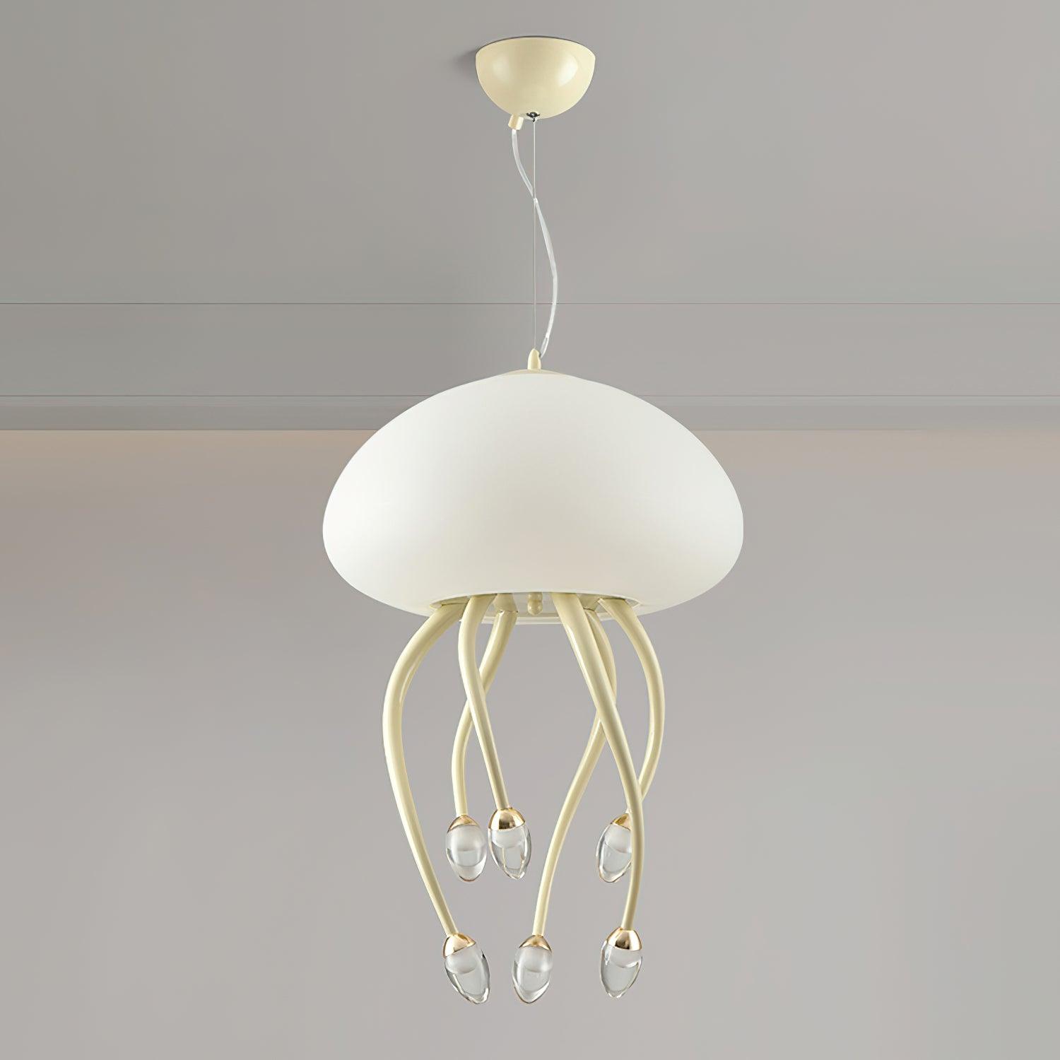Niruiella Acrylic Cozy Pendant Lamp