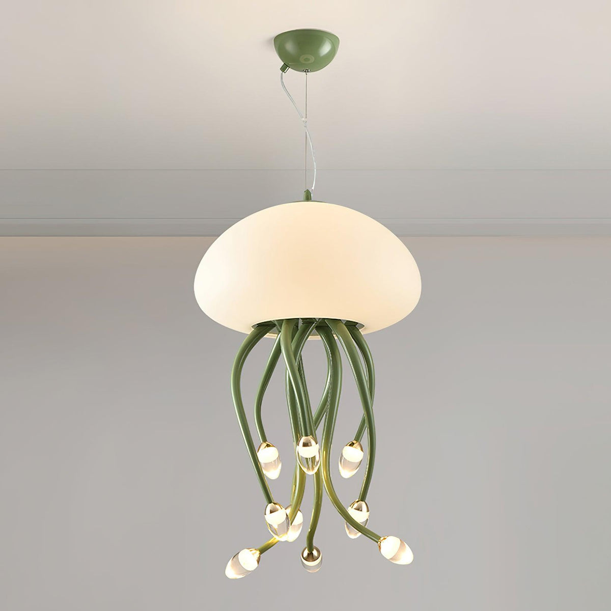 Niruiella Acrylic Cozy Pendant Lamp