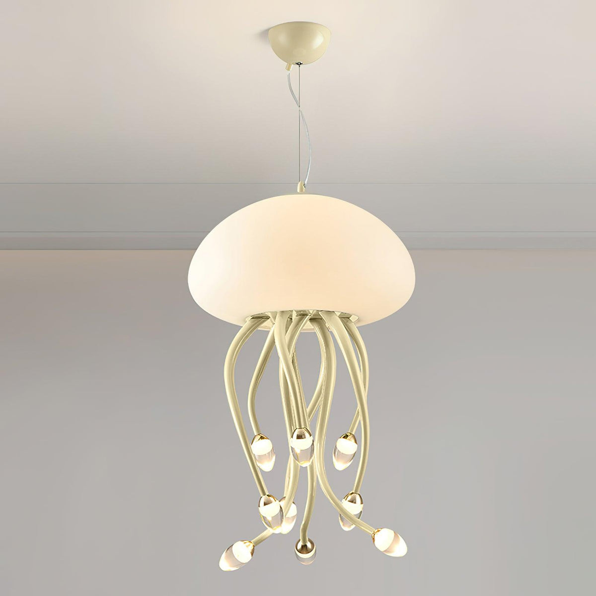 Niruiella Acrylic Cozy Pendant Lamp