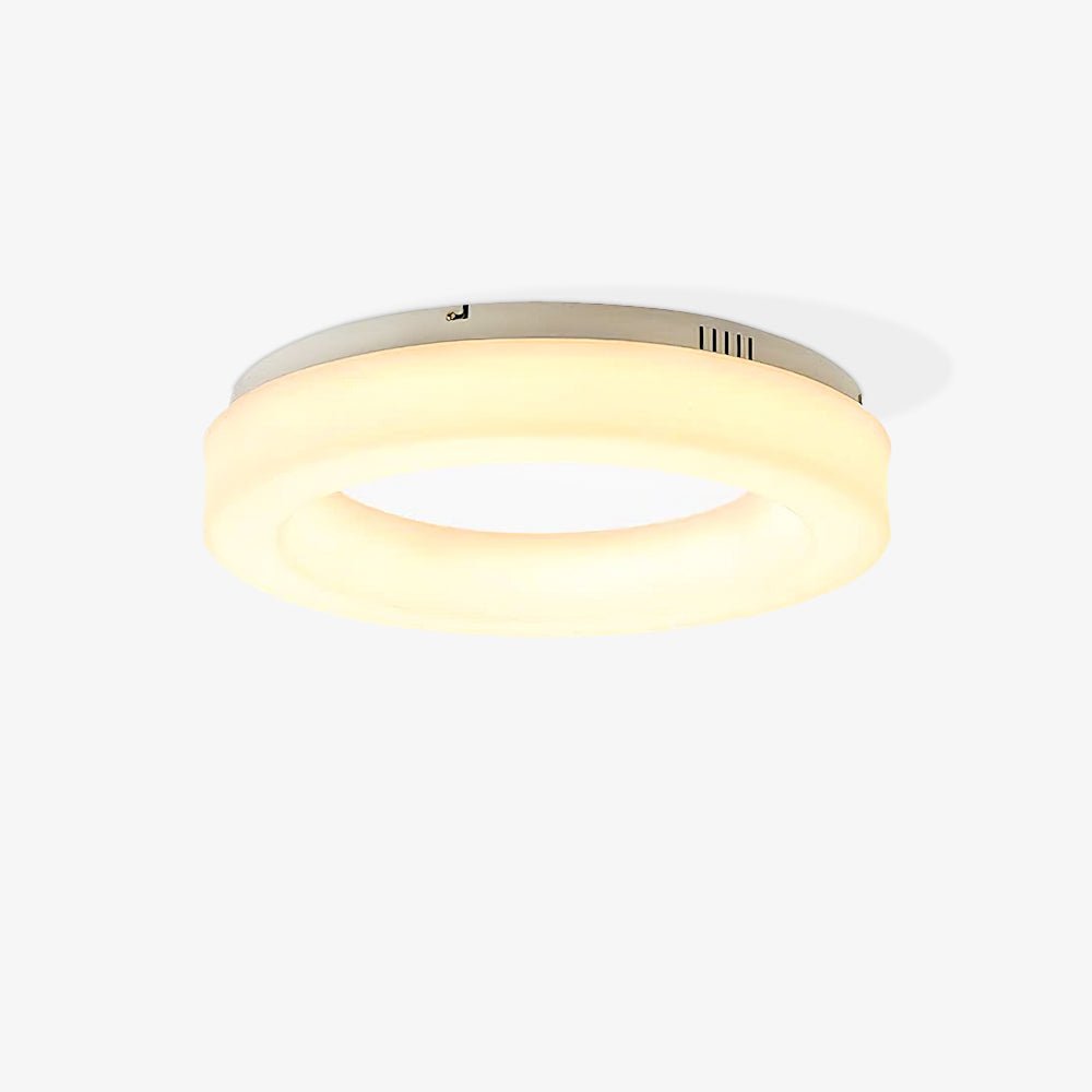 Erraeiel Modern Minimalist Art Ceiling Light