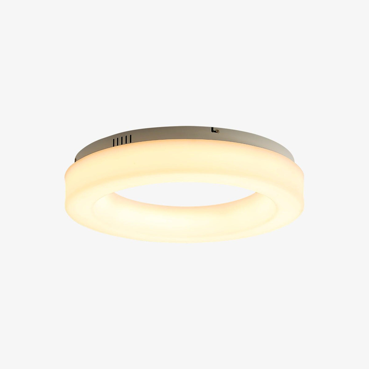 Erraeiel Modern Minimalist Art Ceiling Light